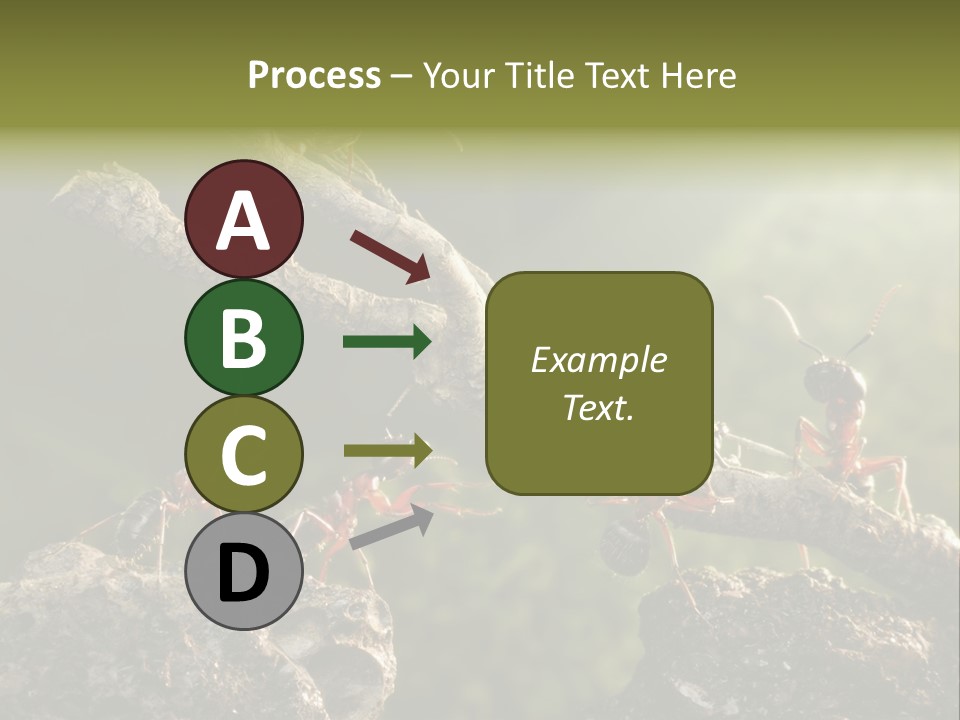 Tree Ant Anthill PowerPoint Template