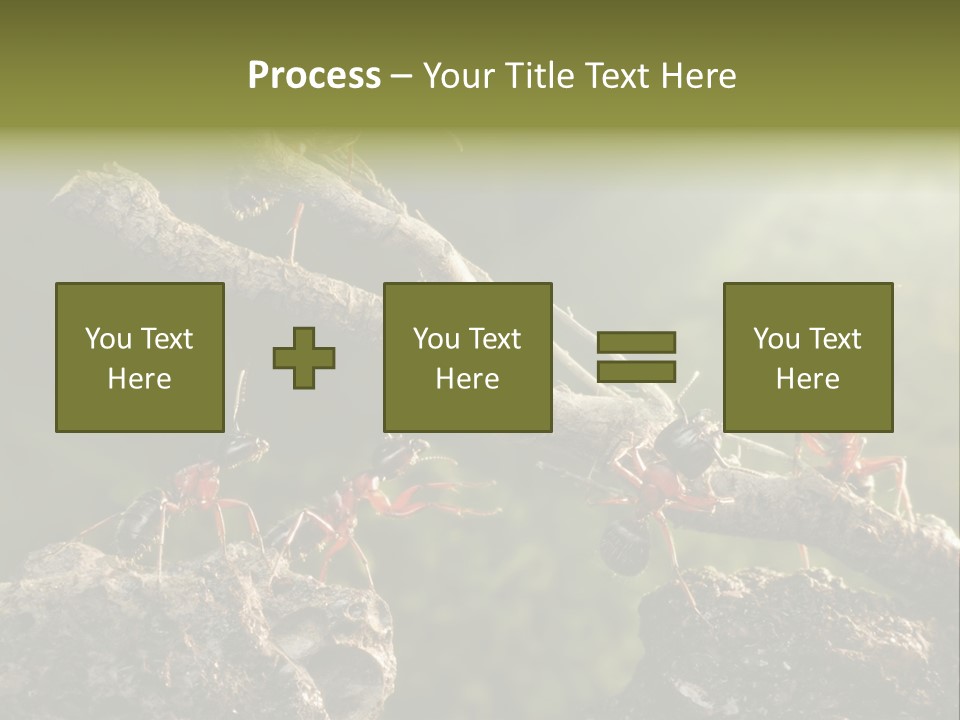 Tree Ant Anthill PowerPoint Template