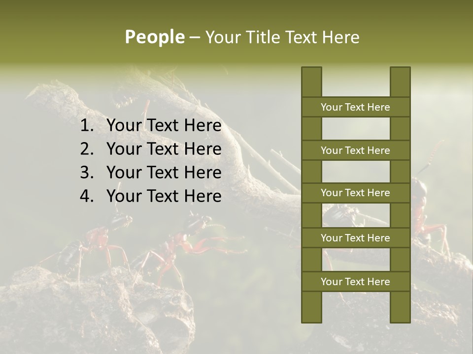 Tree Ant Anthill PowerPoint Template