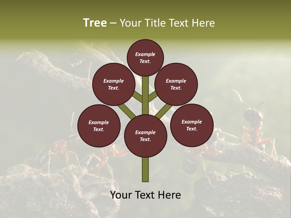 Tree Ant Anthill PowerPoint Template