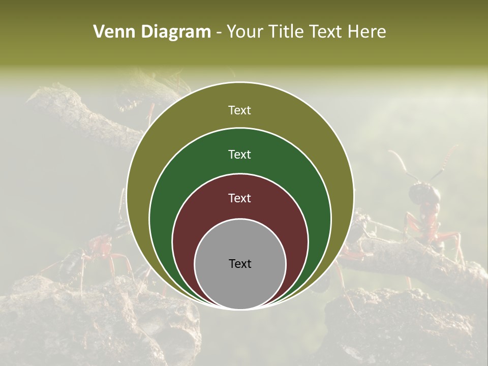 Tree Ant Anthill PowerPoint Template
