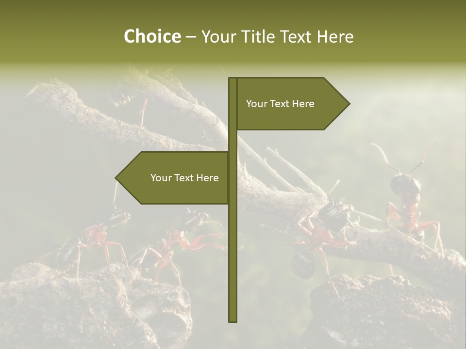 Tree Ant Anthill PowerPoint Template