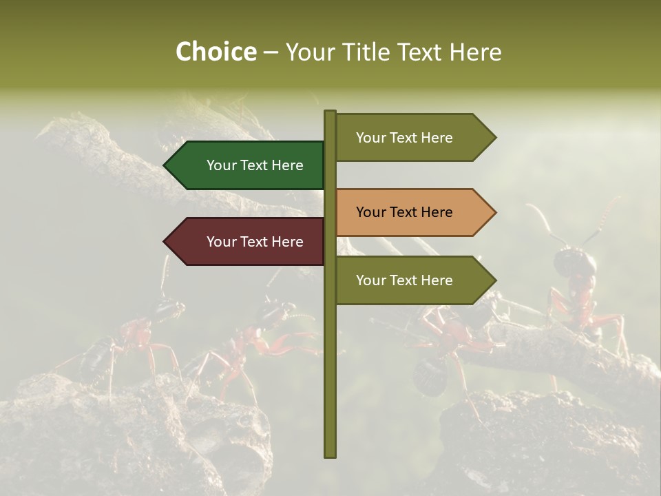 Tree Ant Anthill PowerPoint Template