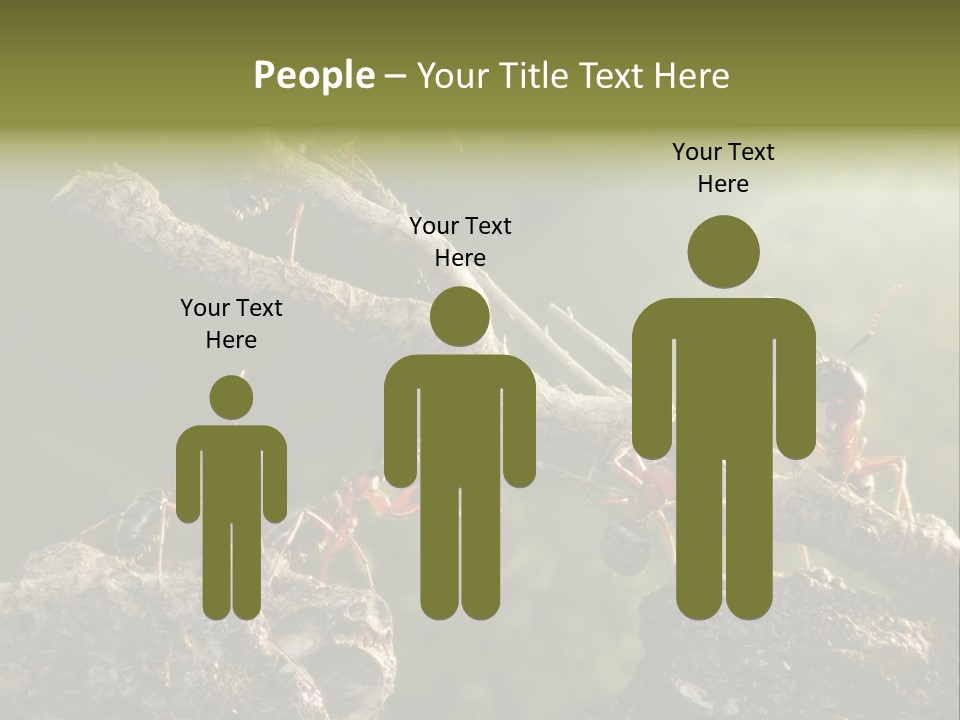 Tree Ant Anthill PowerPoint Template