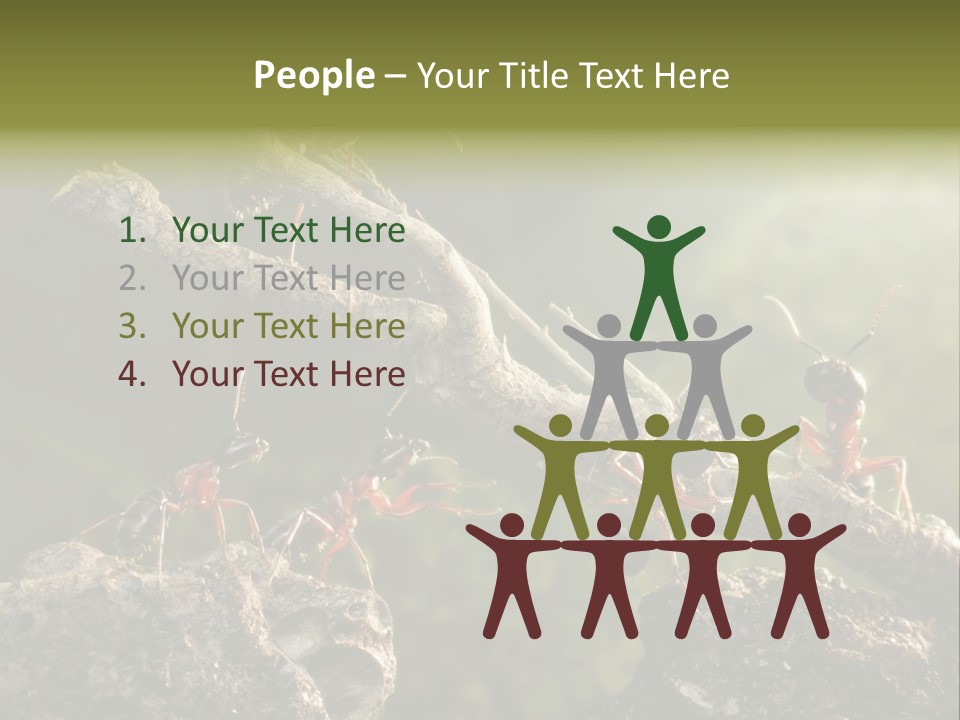 Tree Ant Anthill PowerPoint Template