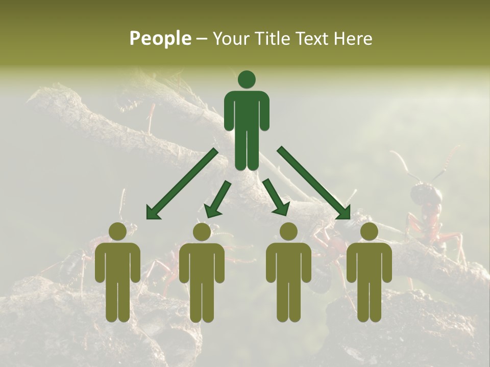 Tree Ant Anthill PowerPoint Template