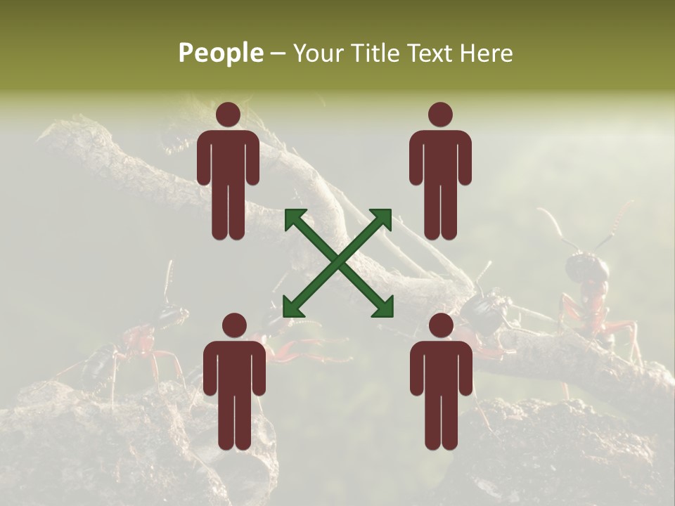 Tree Ant Anthill PowerPoint Template