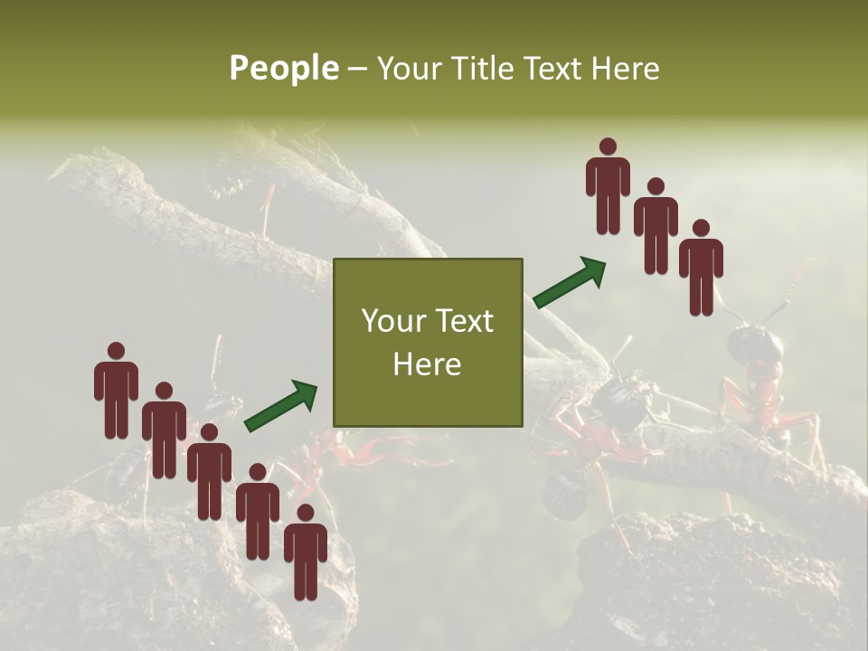 Tree Ant Anthill PowerPoint Template