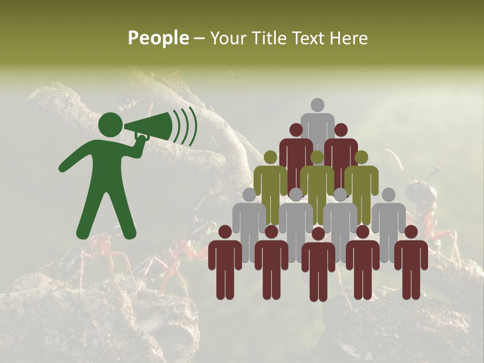 Tree Ant Anthill PowerPoint Template