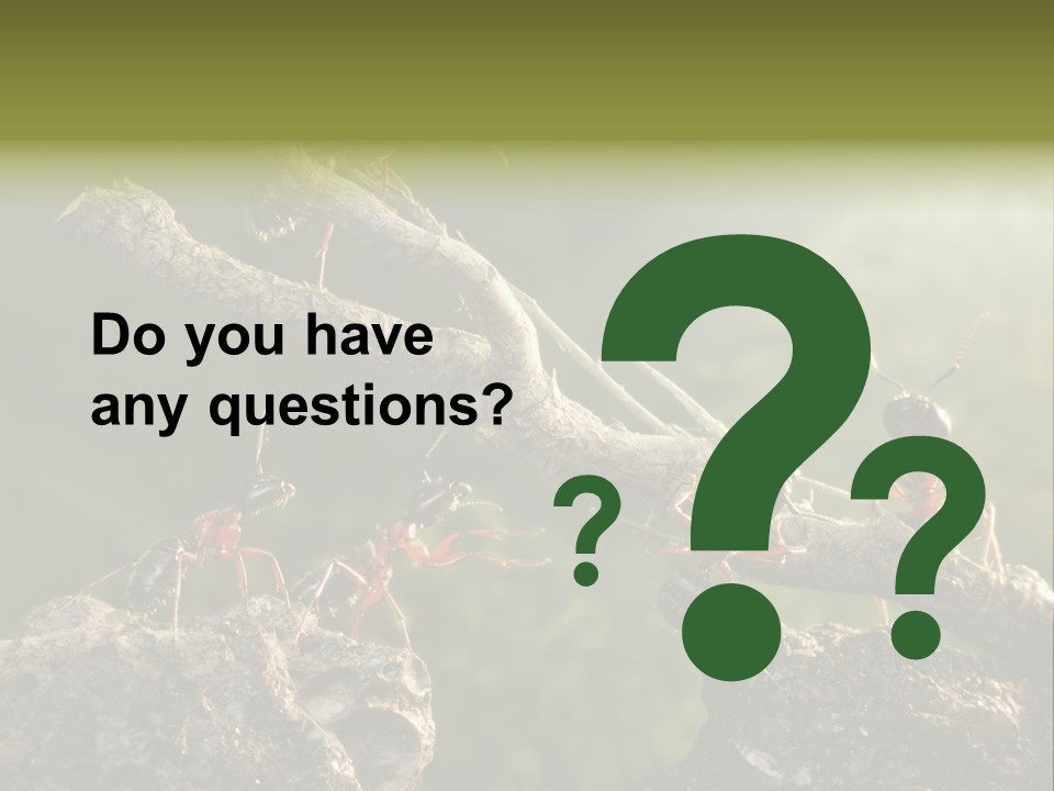 Tree Ant Anthill PowerPoint Template