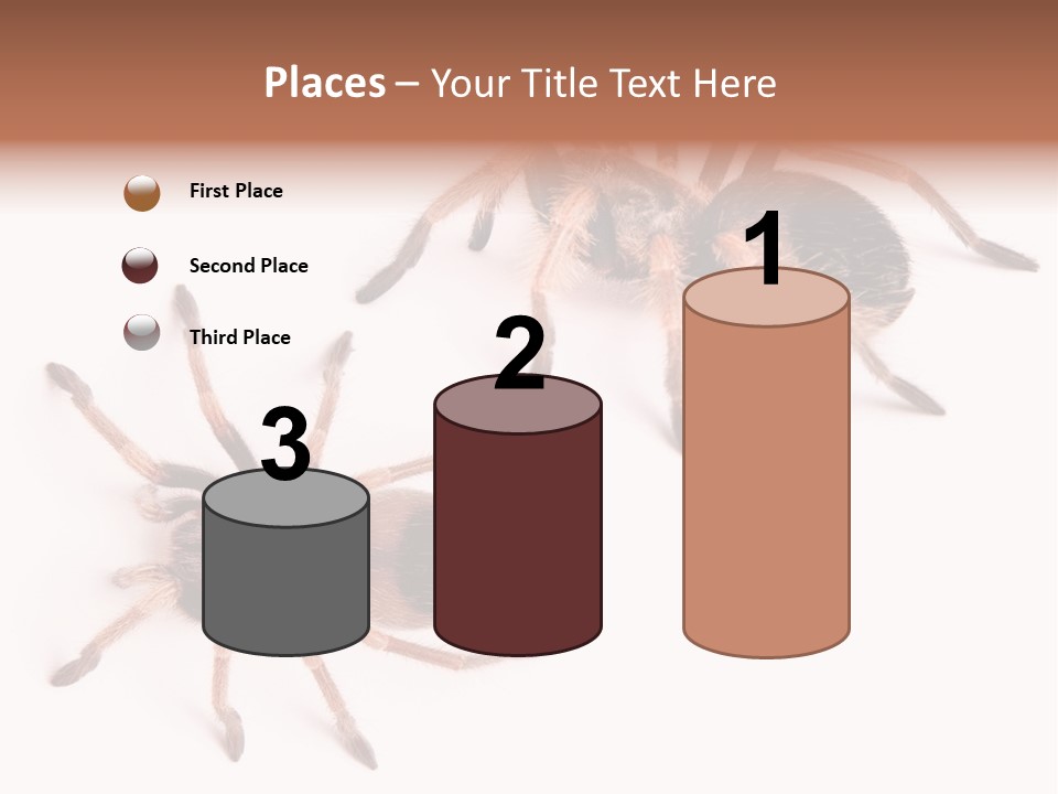 Close Up Studio Unusual PowerPoint Template