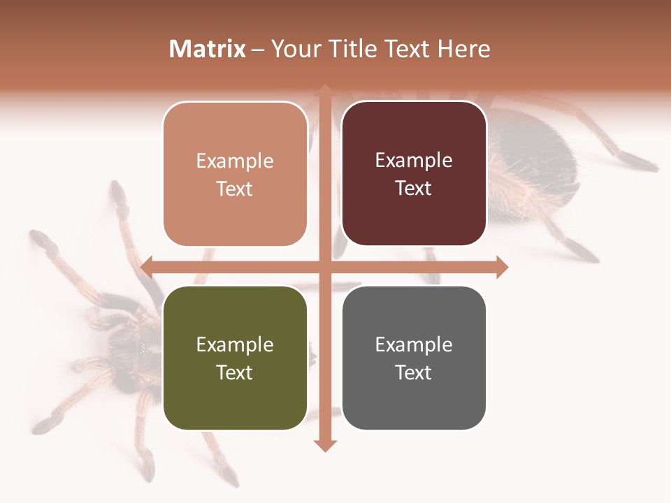 Close Up Studio Unusual PowerPoint Template