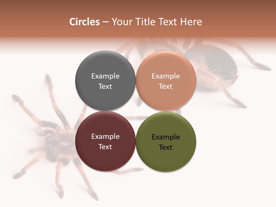 Close Up Studio Unusual PowerPoint Template