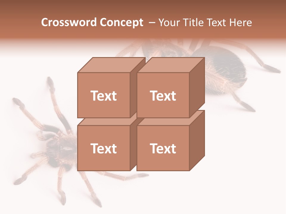 Close Up Studio Unusual PowerPoint Template