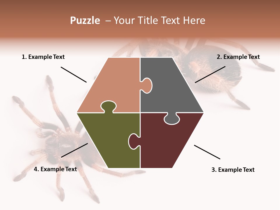 Close Up Studio Unusual PowerPoint Template