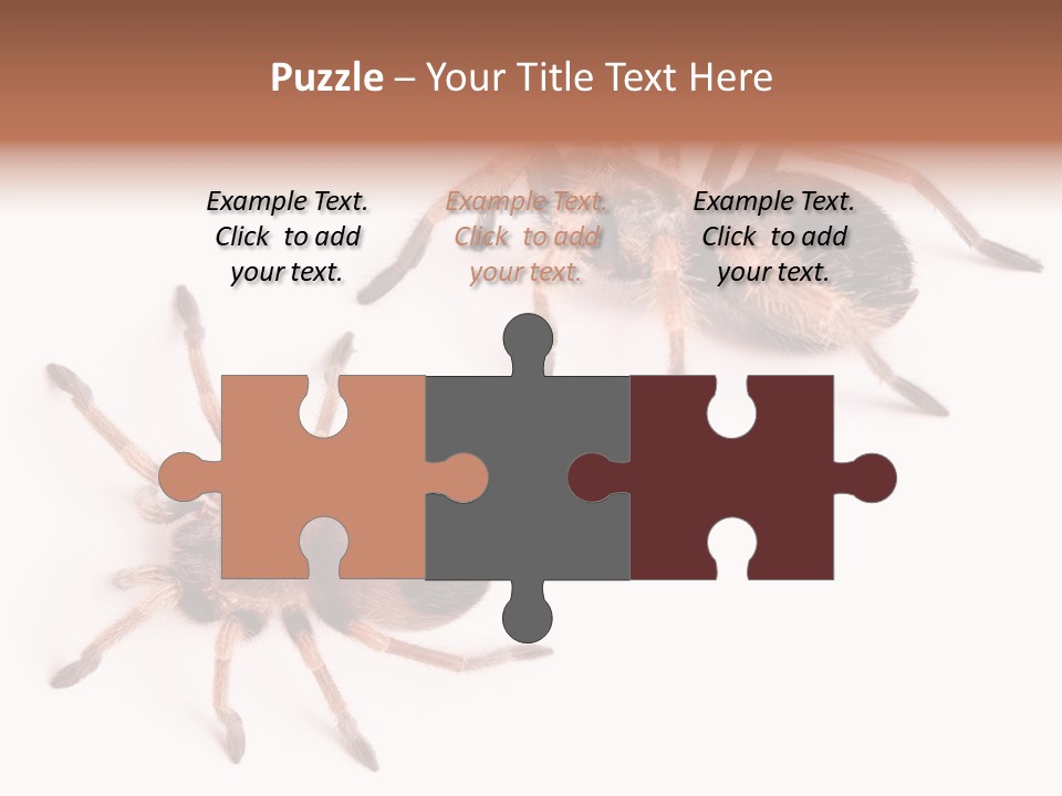 Close Up Studio Unusual PowerPoint Template