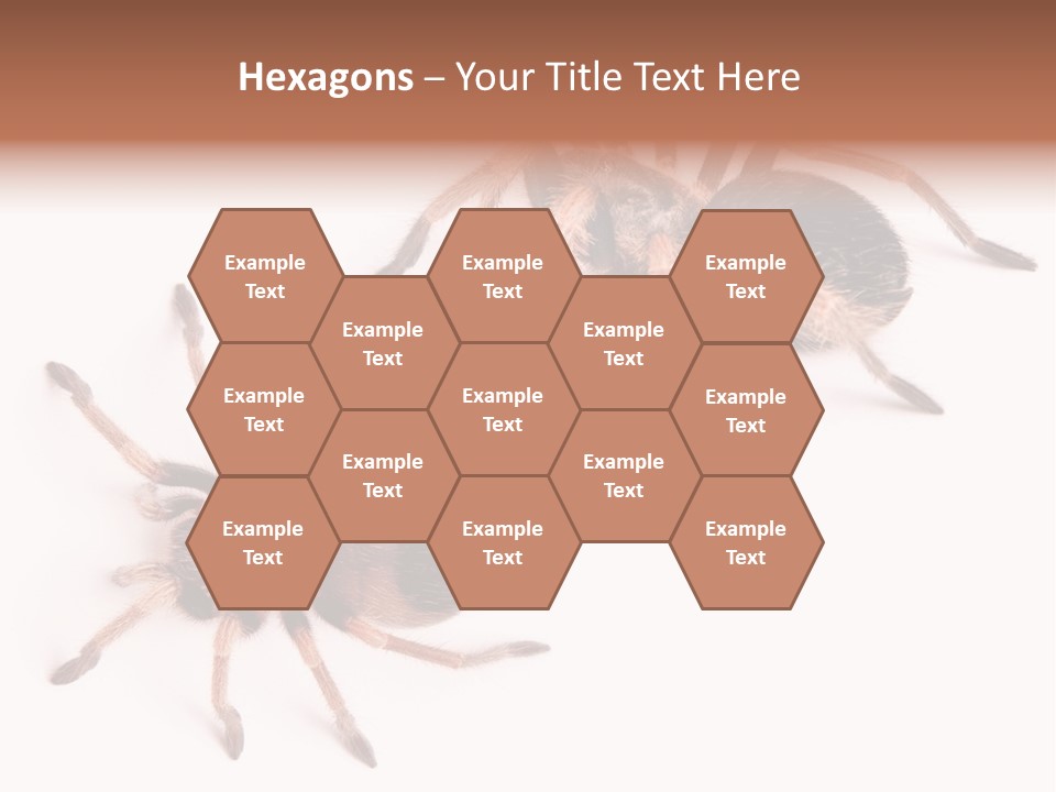 Close Up Studio Unusual PowerPoint Template