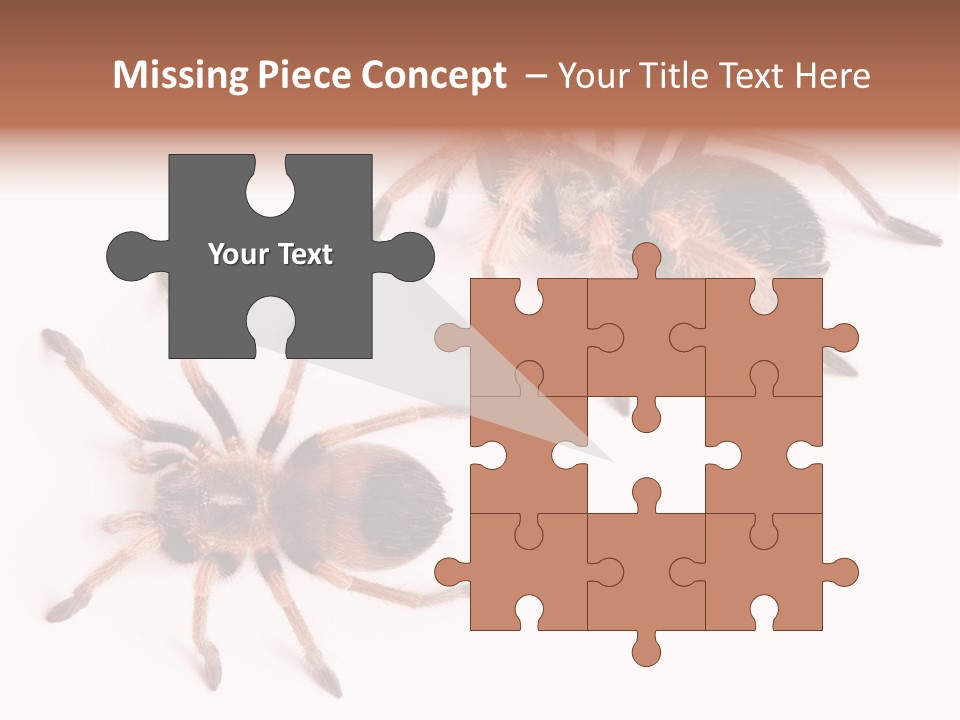 Close Up Studio Unusual PowerPoint Template