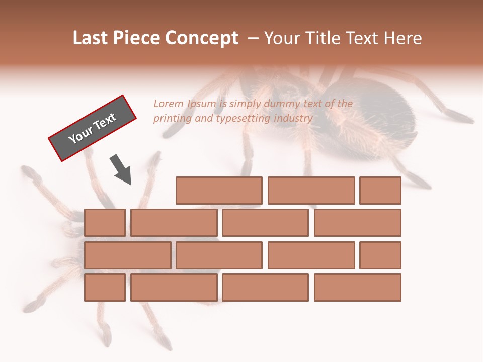 Close Up Studio Unusual PowerPoint Template