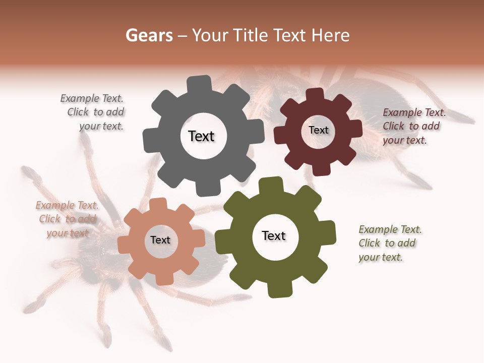 Close Up Studio Unusual PowerPoint Template