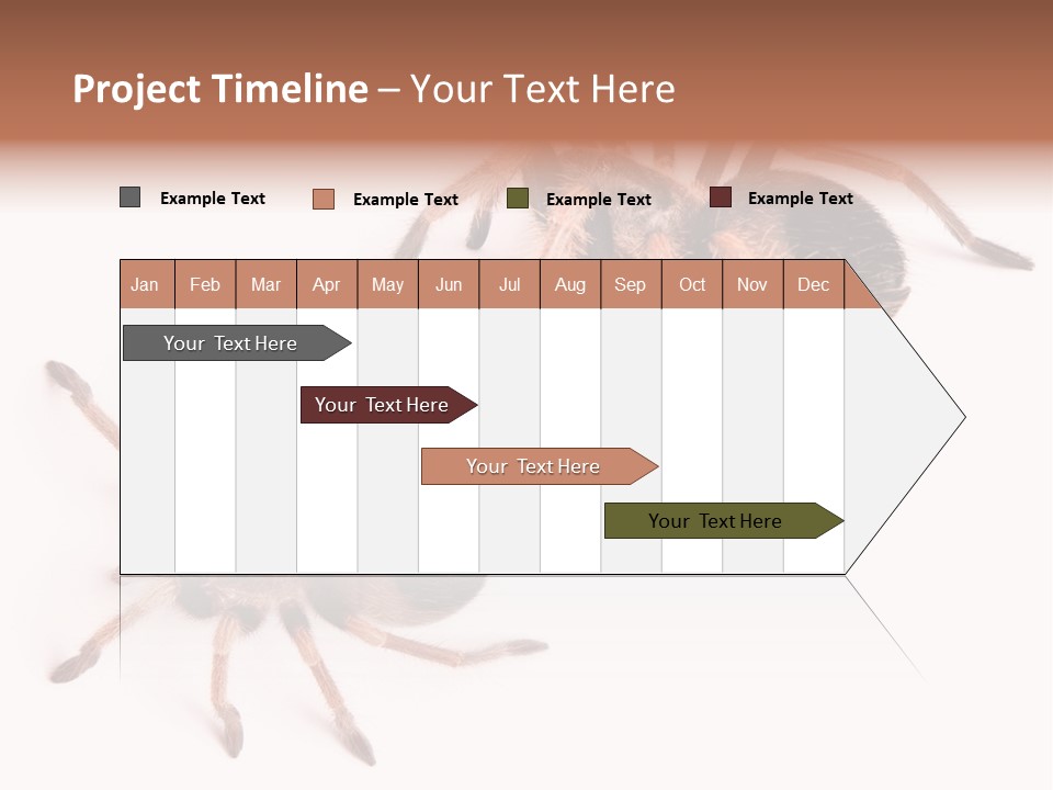 Close Up Studio Unusual PowerPoint Template