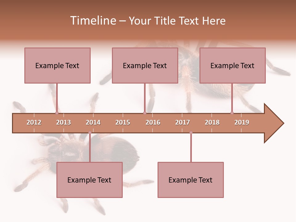 Close Up Studio Unusual PowerPoint Template