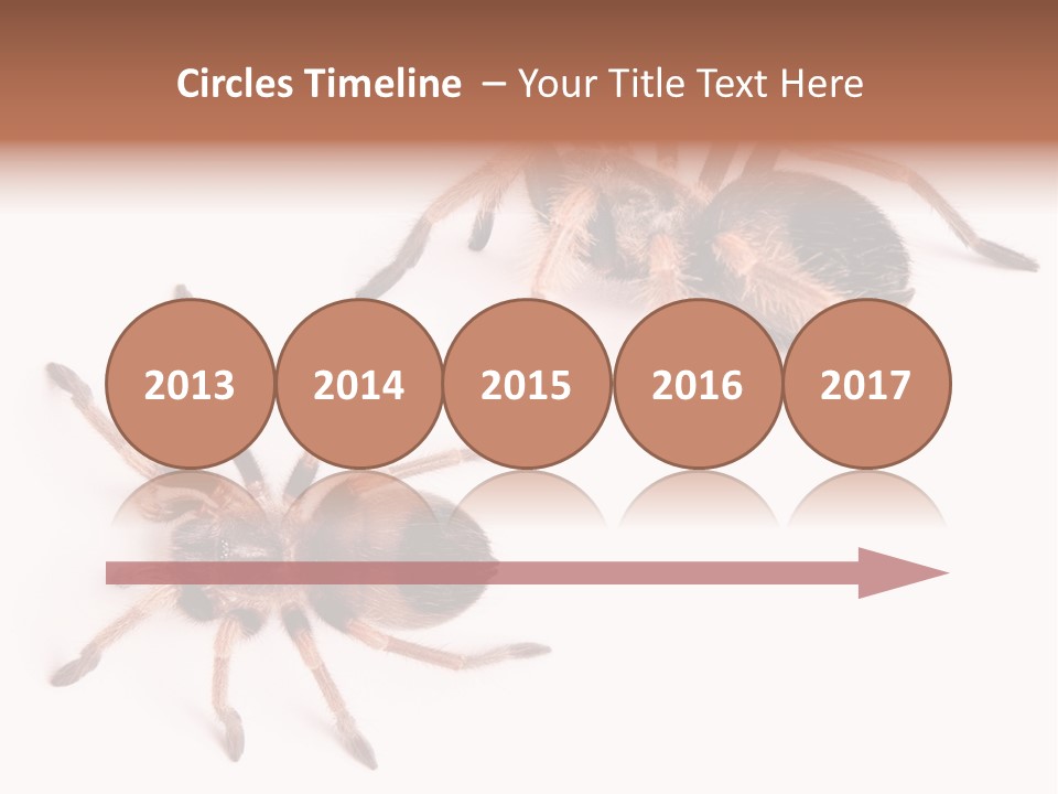 Close Up Studio Unusual PowerPoint Template