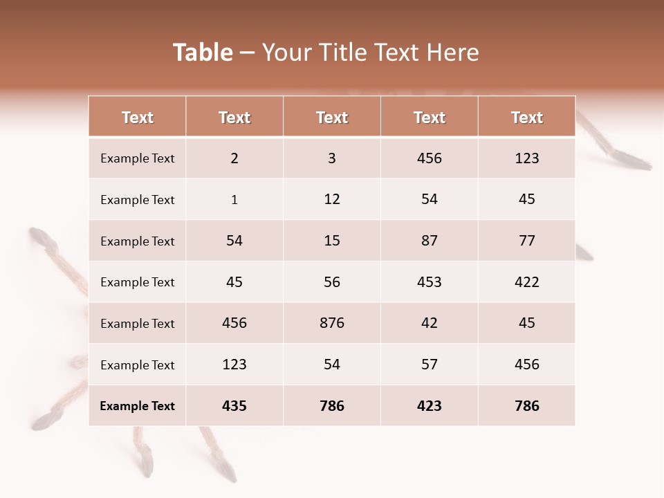 Close Up Studio Unusual PowerPoint Template