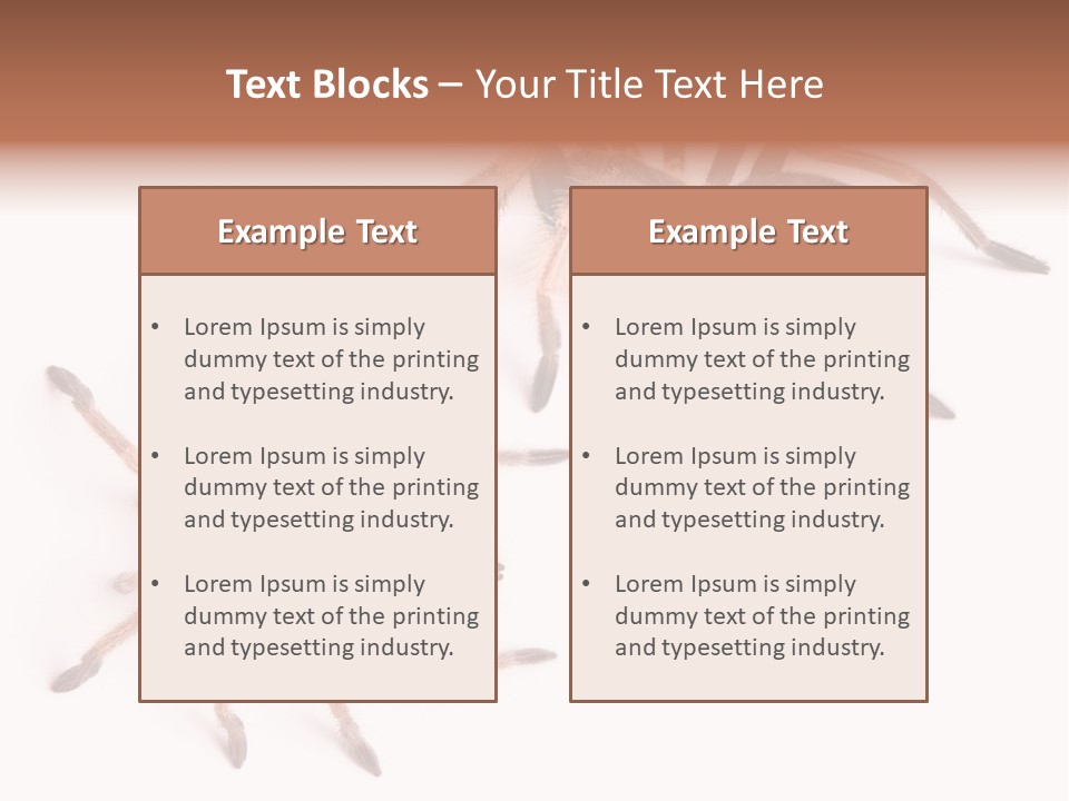 Close Up Studio Unusual PowerPoint Template