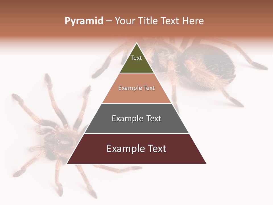 Close Up Studio Unusual PowerPoint Template