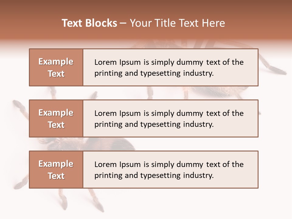 Close Up Studio Unusual PowerPoint Template