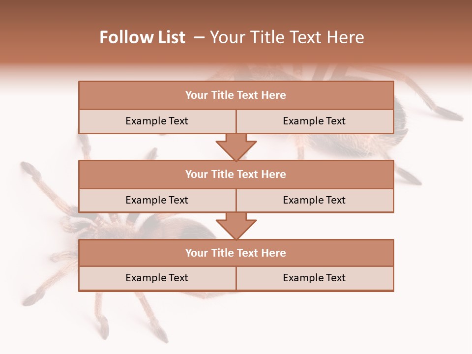Close Up Studio Unusual PowerPoint Template