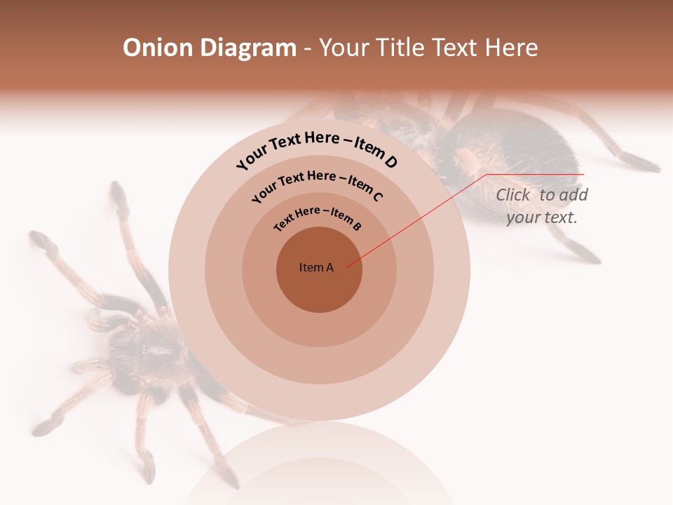 Close Up Studio Unusual PowerPoint Template