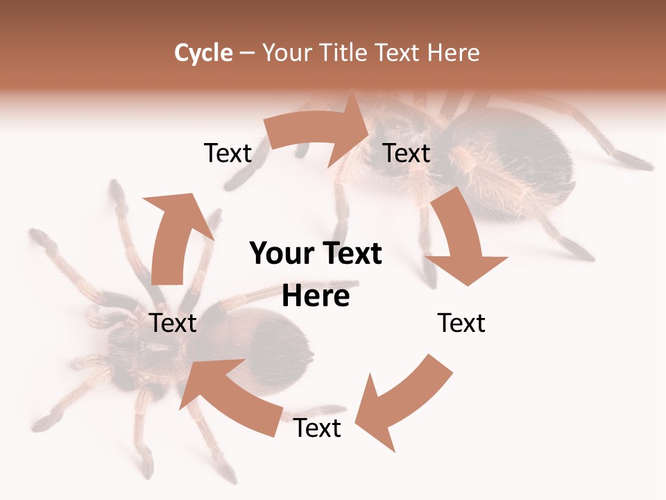 Close Up Studio Unusual PowerPoint Template