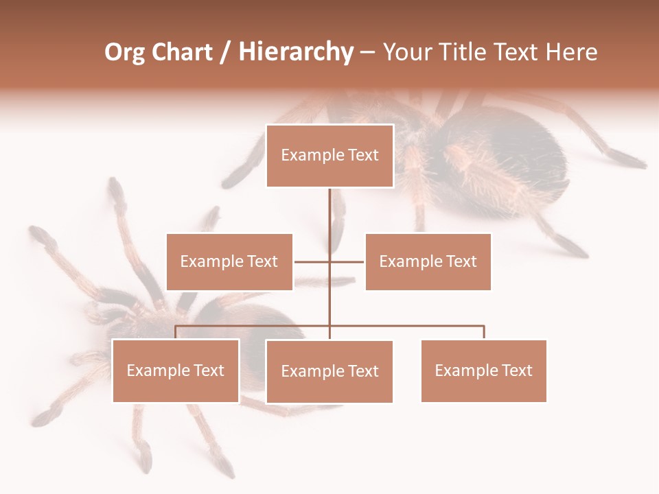 Close Up Studio Unusual PowerPoint Template