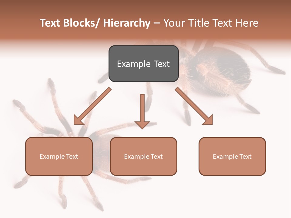 Close Up Studio Unusual PowerPoint Template