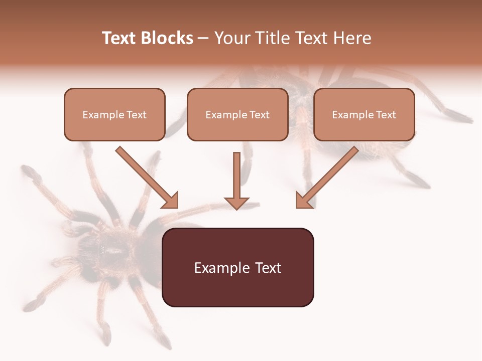 Close Up Studio Unusual PowerPoint Template