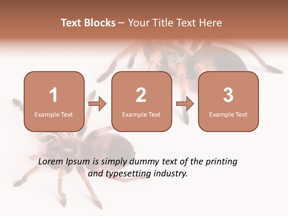 Close Up Studio Unusual PowerPoint Template