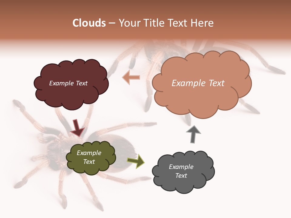 Close Up Studio Unusual PowerPoint Template