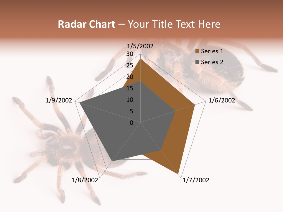 Close Up Studio Unusual PowerPoint Template