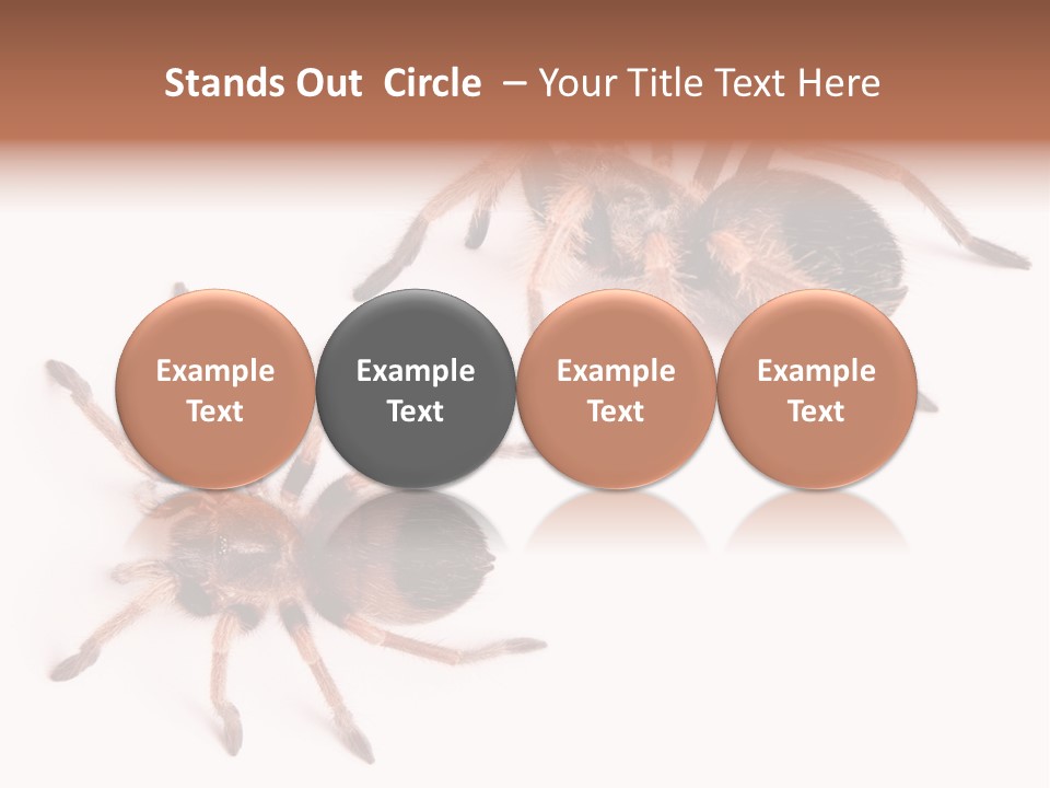 Close Up Studio Unusual PowerPoint Template