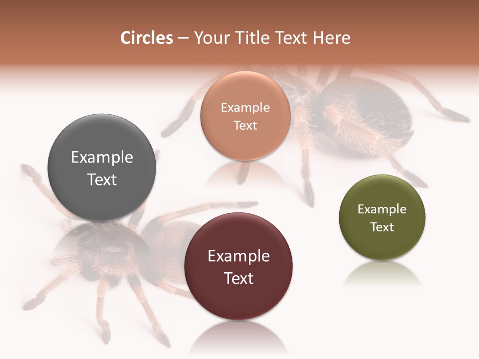 Close Up Studio Unusual PowerPoint Template