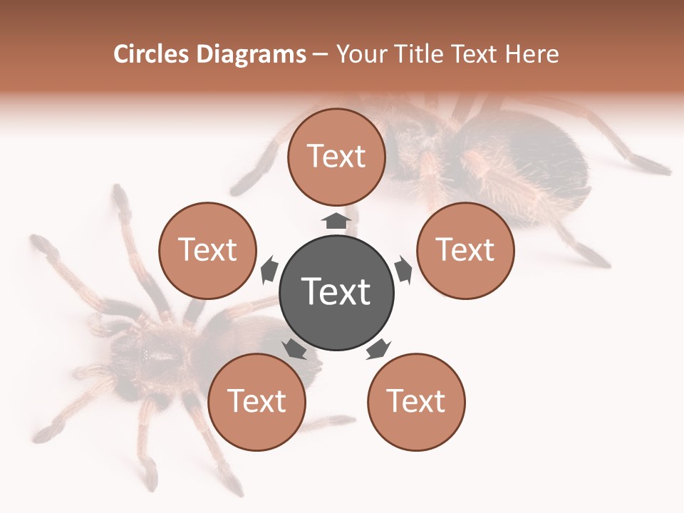 Close Up Studio Unusual PowerPoint Template