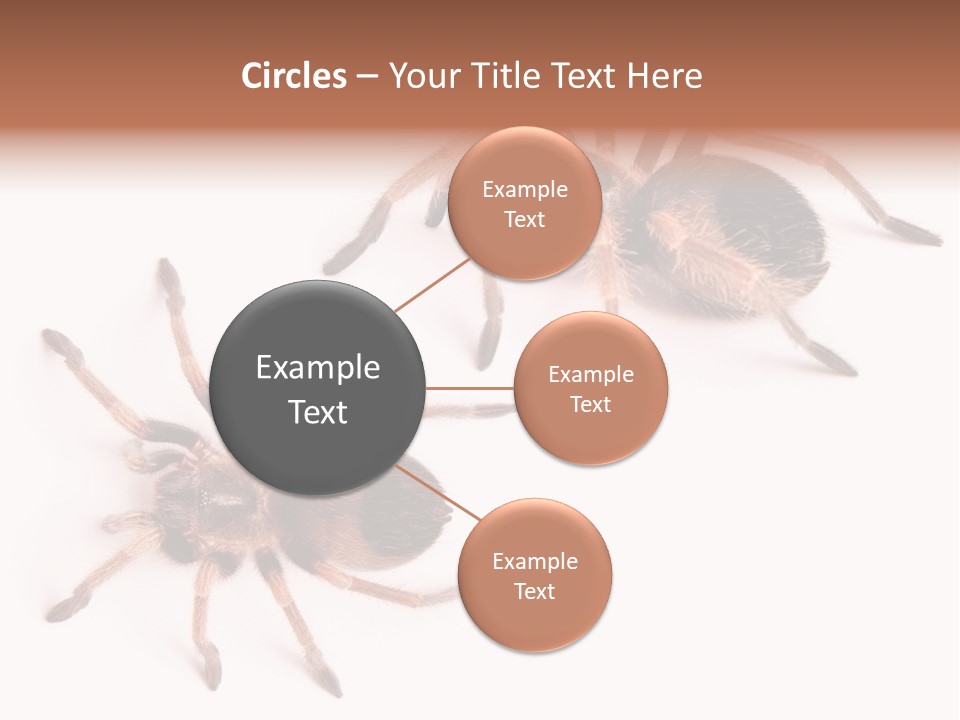 Close Up Studio Unusual PowerPoint Template