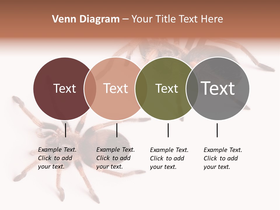 Close Up Studio Unusual PowerPoint Template