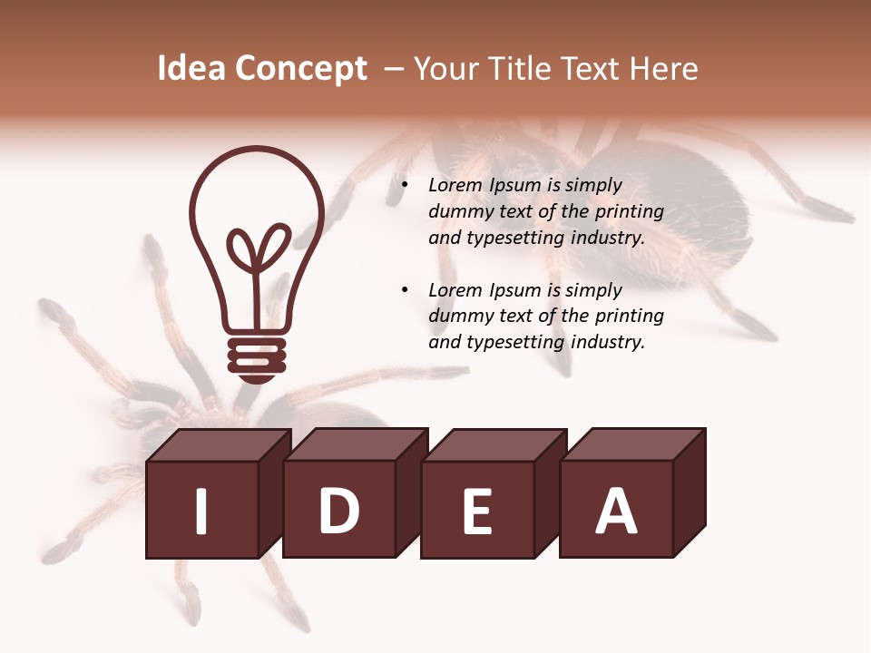 Close Up Studio Unusual PowerPoint Template