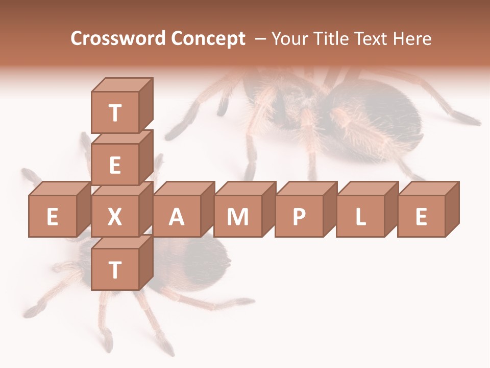 Close Up Studio Unusual PowerPoint Template