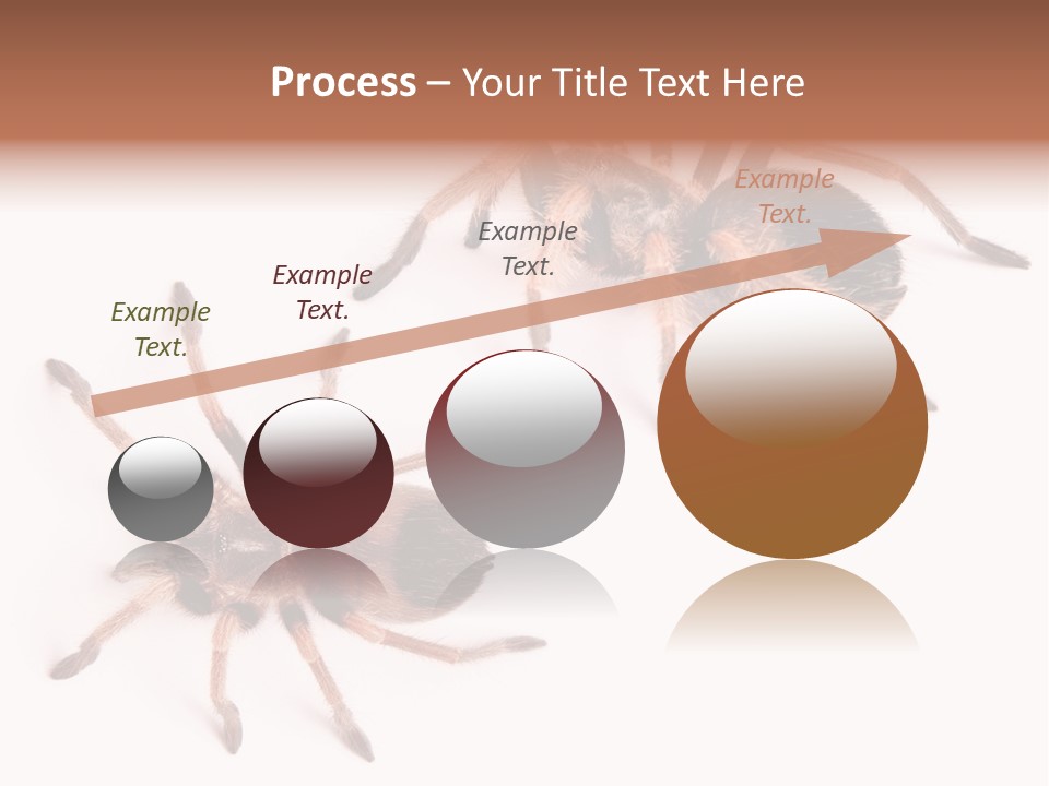 Close Up Studio Unusual PowerPoint Template