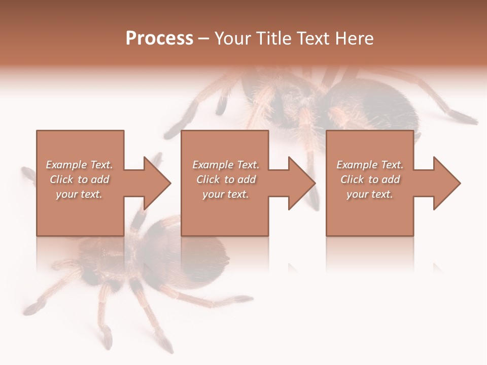 Close Up Studio Unusual PowerPoint Template