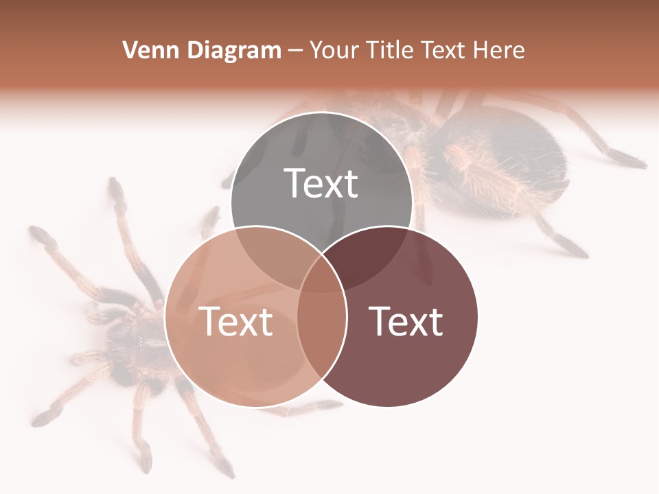 Close Up Studio Unusual PowerPoint Template